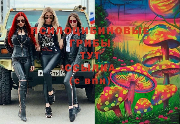 ГАЛЛЮЦИНОГЕННЫЕ ГРИБЫ Алзамай