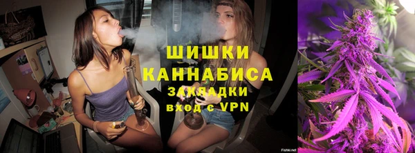 гидра Алексин