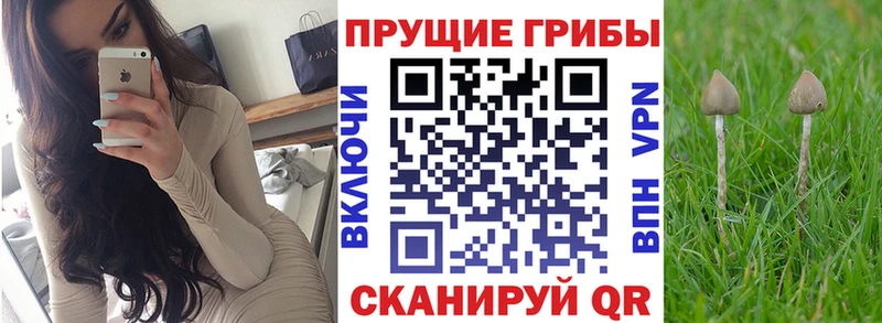 Галлюциногенные грибы Psilocybine cubensis  купить наркоту  Льгов 